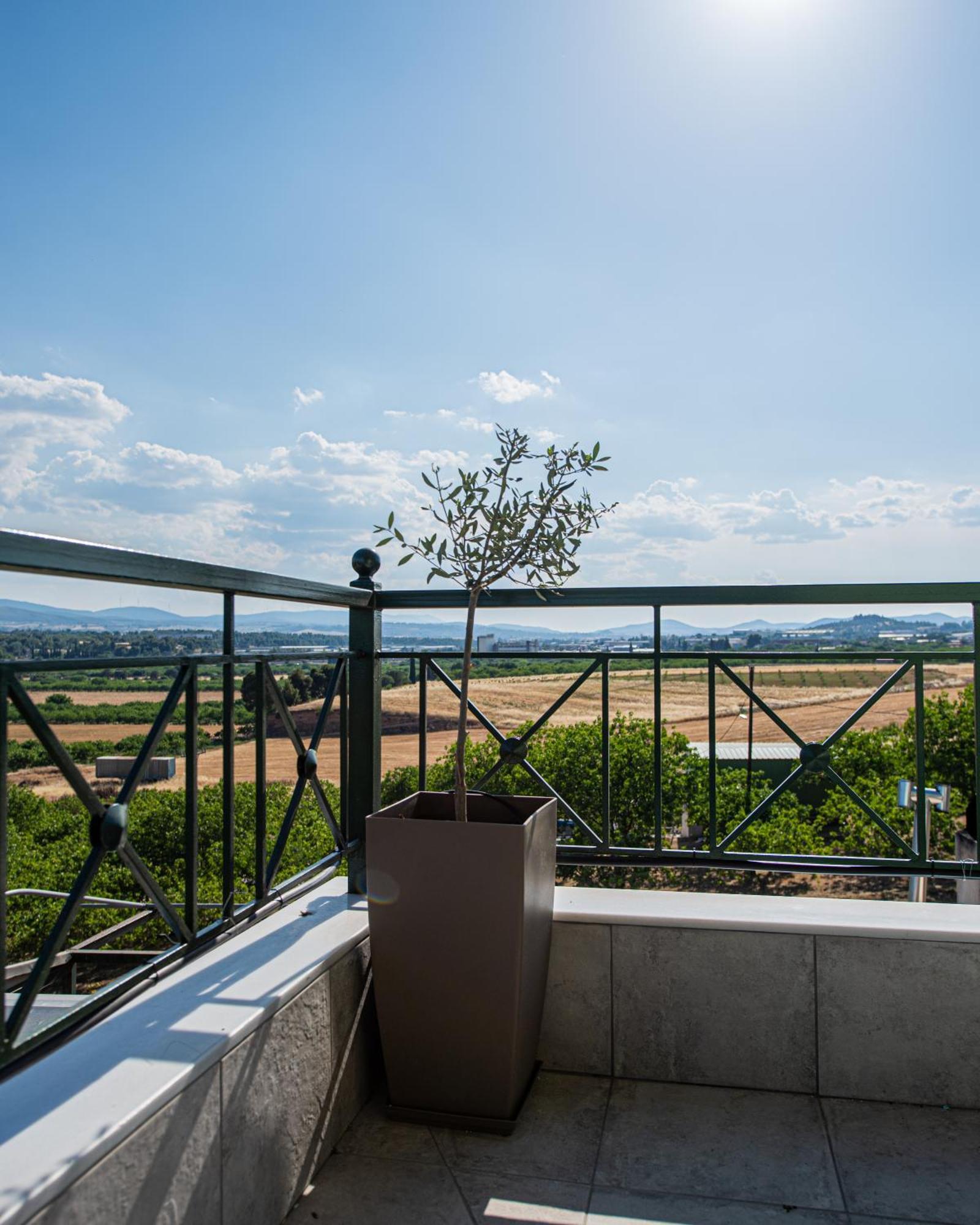 Masticha Apartment Oinofyta Bagian luar foto